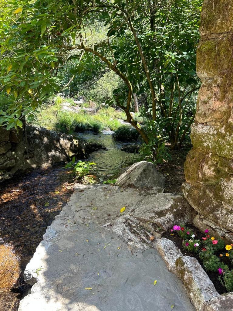 Molino Cascada De Caldas De Reyes Caldas De Reis Esterno foto